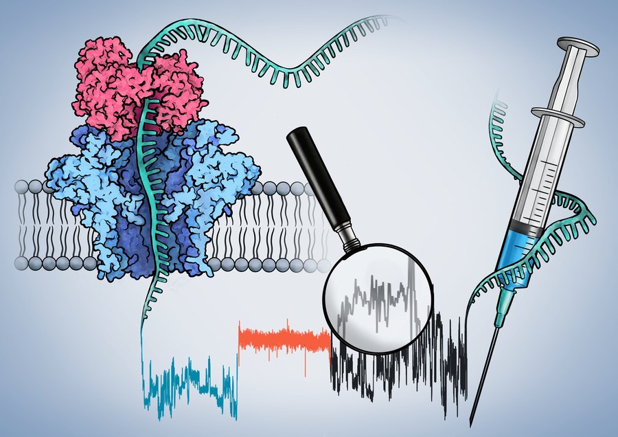 Illustration of an mRNA passing through a nanopore in a lipid bilayer, with a magnifying glass over the raw current trace and a syringe wound with mRNA.